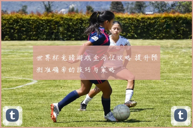 世界杯竞猜游戏全方位攻略 提升预测准确率的技巧与策略