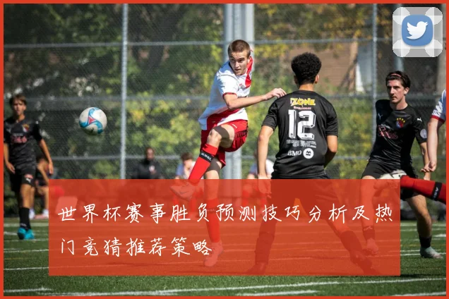 世界杯赛事胜负预测技巧分析及热门竞猜推荐策略