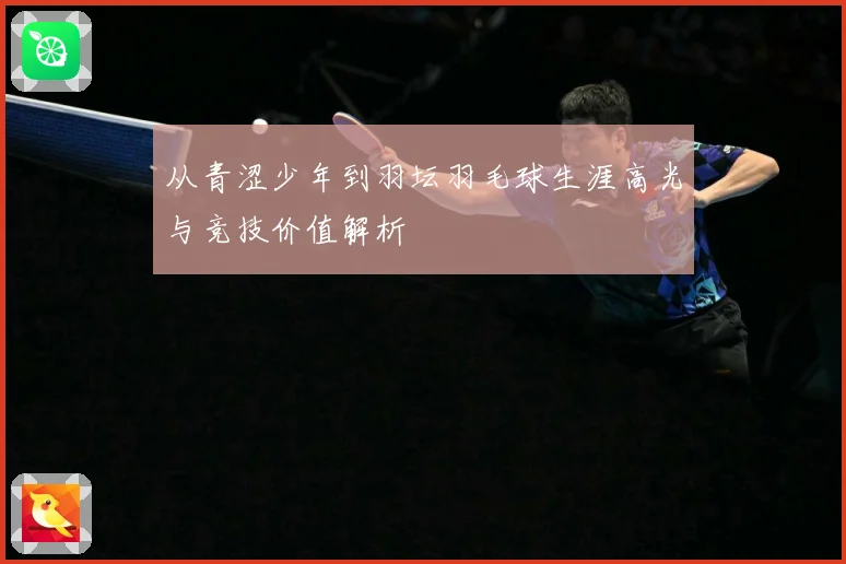 从青涩少年到羽坛羽毛球生涯高光与竞技价值解析