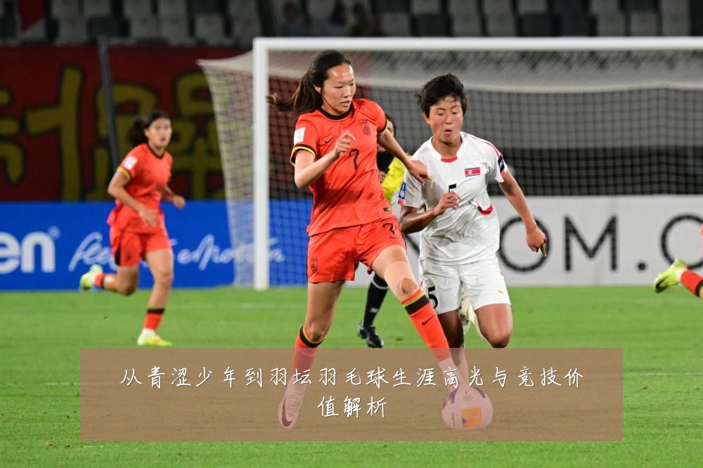 从青涩少年到羽坛羽毛球生涯高光与竞技价值解析