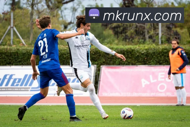 MK体育平台展示图